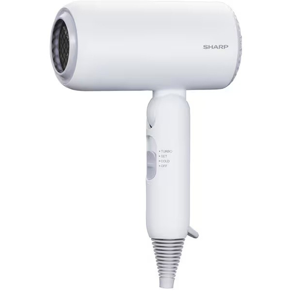IB-P300-W