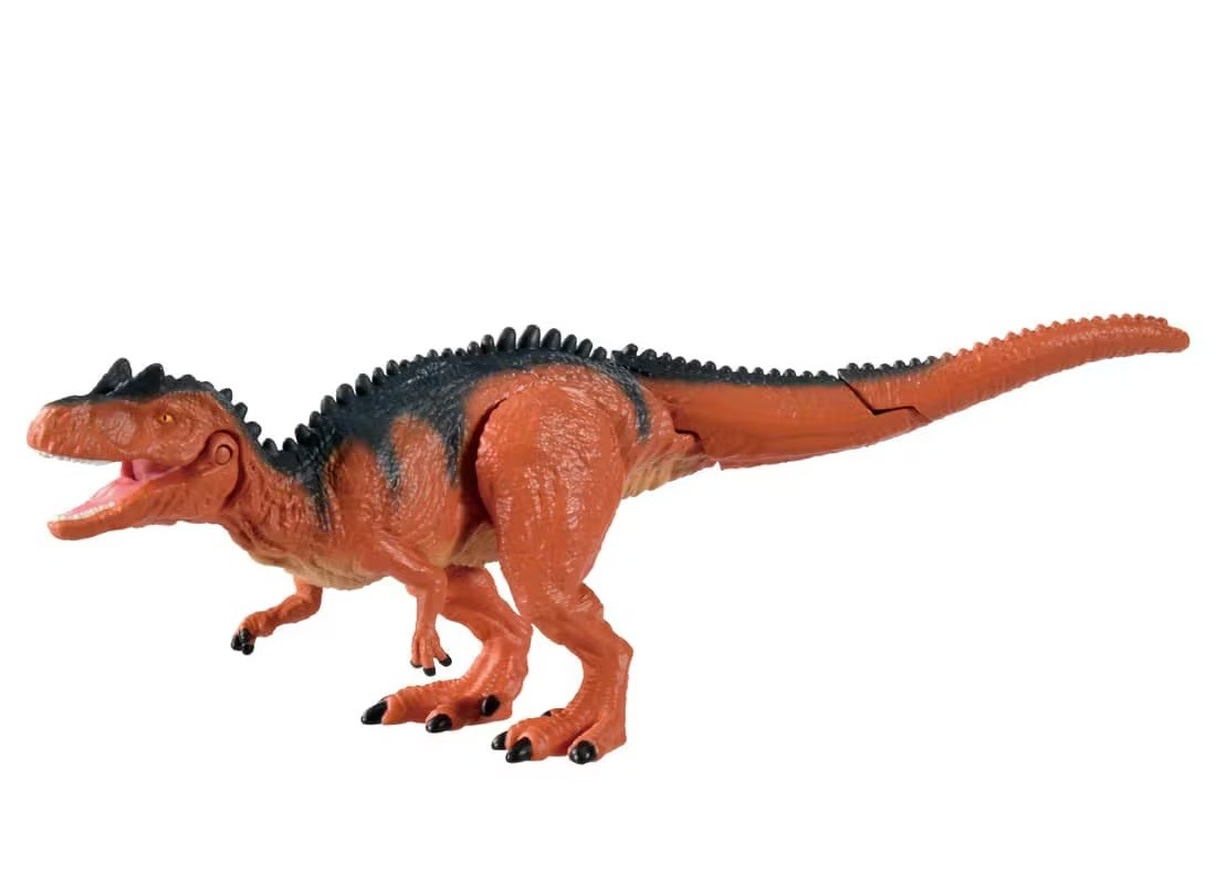 ｱﾆｱ&nbsp;AL-19&nbsp;ｱﾛｻｳﾙｽ